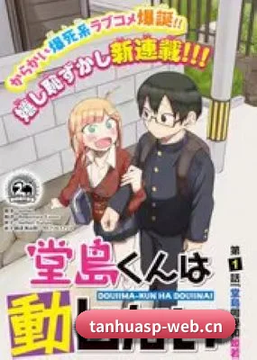 内容生态